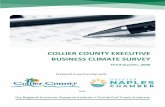 Collier County Executive Business Climate Survey · analysis, including program evaluation, policy research, and needs assessment. The Business Climate Survey group involves FGCU