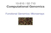 Functional Genomics: 02710/Lectures/arrays.pdf · PDF file Functional Genomics: Microarrays 10-810 / 02-710 Computational Genomics . Why sequence is not enough Identifying genes and