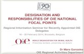 DESIGNATION AND RESPONSIBILITIES OF OIE ... New...18 – 20 February 2014, Brussels, Belgium Dr Mara Gonzalez OIE Regional Activities Department 2 Content Content 3 Background •