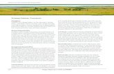 Strategy Habitat: Grasslands Grasslands.pdf · PDF file Grasslands are a Strategy Habitat in the Blue Mountains, Columbia Plateau, Coast Range, Klamath Mountains, West Cascades, and