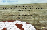 MAPPING OF SALT-AFFECTED SOILSi Mapping of salt-affected soils: Lesson 3 tspatial modelling of soil indicators (properties) related to salt problems Capacity building program is part