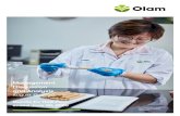 Management Discussion and Analysis...Management Discussion & Analysis 3 Context and Background Re-organisation of Olam Building on the 2019-2024 Strategic Plan launched in January,