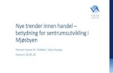 Nye trender innen handel betydning for sentrumsutvikling i Mjøsbyen · 2018-06-05 · vista-analyse.no Nye trender innen handel – betydning for sentrumsutvikling i Mjøsbyen Partner