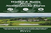 Walks & Runs from Nettlecombe Farm - Visit Isle Of …...Walks & Runs from Nettlecombe Farm Award winning Nettlecombe Farm is an idyllic, dog-friendly farm stay that offers nine luxurious