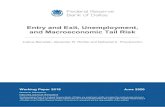 Entry and Exit, Unemployment, and Macroeconomic Tail Risk · macroeconomic tail risk due to search and matching frictions and endogenous ﬁrm entry and exit. The rest of paper proceeds