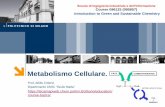 Metabolismo Cellulare. FATS CARBOHYDRATES · 2019-10-01 · FATS CARBOHYDRATES CITRIC ACID CYCLE CO 2 + ENERGY. Attilio Citterio Metabolismo: Concetti di Base e Schemi. Negli organismi