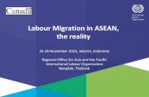 Labour Migration in ASEAN, the reality · working age population (15-64) in destination countries and ... Pakistan and Vietnam (World Bank, 2013) Migration-related SDG targets in