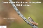 OPIE Midi-Pyrénées - Carnet d’identification des …opie-mp.fr/pdf/Carnet_orthopteres_mp_05_2016.pdfLes milieux midi-pyrénéens La diversité de milieux qui compose Midi-Pyrénées