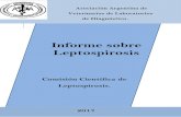Informe sobre Leptospirosis - AAVLD SOBRE... · Informe sobre Leptospirosis Comisión Científica de Leptospirosis. Asociación Argentina de Veterinarios de Laboratorios de Diagnóstico.