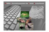 Wildtier-Informationssystem der Länder Deutschlands(Deutschen Jagdschutz-Verband e. V. - DJV). The German Wildlife Information System (WILD) aquires ... Hannover Koordinationszentren