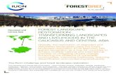 FOREST LANDSCAPE Central Asia RESTORATION: … · priorities on mitigating climate change, ... improving livelihoods, reducing desertification and conserving biodiversity. Caucasus