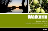 Waikerie...Economic Profile Prepared for: District Council of Loxton Waikerie April 2007 Waikerie Disclaimer This report is prepared on the instructions of the party to whom or which