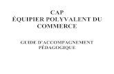 CAP ÉQUIPIER POLYVALENT DU COMMERCE · 2020-02-16 · Liminaire : Le titulaire du CAP Equipier Polyvalent du Commerce a accès au système d’information de l’entreprise. Ses