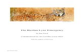 The Iberian Lynx Emergency - WardEnvironmentwardenvironment.ch/.../2015/11/Ward_REP_The_Iberian_lynx_emergency.pdf · to save the crown jewel of Europe’s wildlife. If we ignore