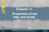 Chapter 11 Properties of the Hair and Scalp · • Describe the hair growth process. • Discuss the types of hair loss and their causes. • Describe the options for hair loss treatment.