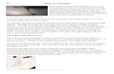Mrs. Nelson's 7th Grade Earth Sciencemrsnelsonsearthscience.weebly.com/uploads/2/2/8/0/... · Web viewOn May 3, 1999, an Oklahoma University Doppler radar remotely sensed tornado