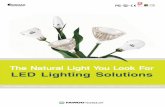 5IF /BUVSBM -JHIU :PV -PPL 'PS LED Lighting Solutions · 2010. 9. 30. · LED Lighting Solutions ... Downlight Type LumiDas-B. 6 68.5 82.5 E26 / E27 / GU10 ¡63 X H 109.5 ... 2 emissions