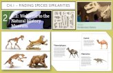 CH.1 FINDING SPECIES SIMILARITIES Lesson PDF/Evolutionary History/1.2_… · Evolutionary History The Evolutionary History Unit explores the history of life on Earth. You will use