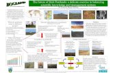 The future of Irish Peatlands: a delicate exercise in ... · Conservation policy, Biodiversity Convention, Agenda 21, EIA, Water Framework Directive, Landscape ... financed by the