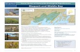 Maquoit and Middle Bay - Maine.gov...sandy beach areas, nearshore shallow waters, intertidal flats, and deep bay waters from the Gulf of Maine to the Gulf of Mexico. Spawning occurs