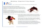 Mouthing - Dogs Don’t Have Hands! · You have just accidentally made mouthing much more interesting. If you give the mouthing this type of attention, you will usually get more of