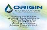 Examining How To Utilize Microbial Probiotic Solutions To ... · Microbial Probiotic Solutions To Treat Paraffin, Scale And Hydrogen Sulfide As An Alternative To Chemical Solutions