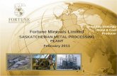 Emerging Strategic Fortune Minerals Limited Producer ...s1.q4cdn.com/...SMPP_Presentation__Final_February_8... · 2 FORWARD-LOOKING INFORMATION This document contains certain forward-looking