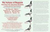 Racing pigeons for sale | Pigeon news | Pigeon race …...sold their own national winners, Ace pigeons and other super pigeons… but always put them to use in their own breeding loft!