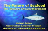 The Future of Seafoodseafooddirectionsconference.com/images/archivecontent/... · 2016. 11. 2. · wild-caught Certification status MSC fisheries* 128.8M 61.9M 2.6M 2.6M 0 20 40 60