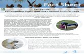 Endangering North America’s Shared Bird Heritage/media/PDFs/Global-Warming/... · Endangering North America’s Shared Bird Heritage Fact Sheet Millions of migratory waterfowl and