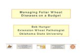 Managing Foliar Wheat Diseases on a Budgetnotill.okstate.edu/presentations/2016-presentation/2016HungerManage... · wheat residue and see tan spot, powdery mildew, and/or Septoria