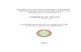 ASHWINI M. TEGGIoar.icrisat.org/10264/1/Thesis_ASHWINI.pdfDECLARATION I, ASHWINI M. TEGGI, hereby declare that the thesis entitled “Identification and characterization of herbicide