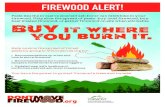 TNC-3990-07 Vermont Poster v2-1 move firewood... · TNC-3990-07_Vermont_Poster_v2-1.indd Created Date: 3/22/2019 10:04:12 AM ...