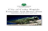City of Cedar Rapids Emerald Ash Borer of Cedar...¢  The City of Cedar Rapids plans to utilize the EAB
