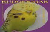 Budgerigar · 2019. 10. 30. · June 2018 17th BRASEA Auction – Bexley, Sydney Get in early with your 2018 event dates If your event or your event date is missing from this “What’s