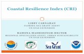 Coastal Resilience Index (CRI) - TBRPC · 2019. 1. 31. · The Apalachee Regional Planning Council (ARPC), in coordination with the ANERR, Franklin County and City of Carrabelle identified