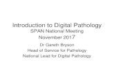 Introduction to Digital Pathology · 2019. 4. 3. · Introduction to Digital Pathology SPAN National Meeting November 2017 Dr Gareth Bryson Head of Service for Pathology National