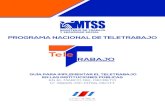 PROGRAMA NACIONAL DE TELETRABAJO · 3.3- Coordinación del Programa Nacional de Teletrabajo Para la planificación, ejecución, control y acompañamiento que conlleva la implementación