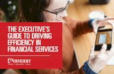 THE EXECUTIVE’S GUIDE TO DRIVING EFFICIENCY IN FINANCIAL … · 2017. 6. 13. · THE EXECUTIVE’S GUIDE TO DRIVING EFFICIENCY IN FINANCIAL SERVICES / 4 CONSOLIDATE IT APPLICATIONS