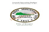 City of Jaspercity of jasper budget totals all funds revenue 2016 2017 fund # fund budget budget 100 general revenue $ 4,025,155 $ 4,235,886 201 technology surcharge fund $ 39,100