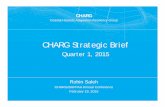 CHARG Strategic Brief - hgsitebuilder.comfiles.hgsitebuilder.com/hostgator755022/file/2015_4d... · 2015. 2. 24. · CHARG – Coastal Hazards Adaptation Resiliency Group Impacts