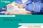 medicina felina - Colegio Médico Veterinario · en la International Society of Veterinary Ophthalmology (ISVO). María Paz Iturriaga. Médico Veterinario, Universidad de Chile. Especialista