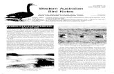 Western Australian Bird Notesbirdswa.com.au/WABN/WABN #040 1986 Dec.pdf · 2014. 4. 15. · NUMBER 40 DECEMBER 1986 Western Australian Bird Notes Quarterly Newsletter of the W.A.