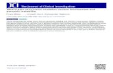leiomyomas and genomic instability Med12 gain-of-function ...€¦ · omas. Large tumors were often necrotic, hemorrhagic, and fibrotic. In addition, characteristic of leiomyomas,