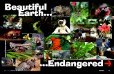 Beautiful Earth - JICA · “strangest looking, largest and smallest, loudest and quietest, more dangerous and least frightening animals on earth.” But already around 20% of the