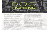 DOG - ontariospca.ca€¦ · Dog fighting, like cock (rooster) fighting, is closely tied to organized crime involving guns, drugs, illegal gambling and gangs. An organized dog fight