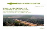February 2013 LAND GRABBING FOR BIOFUELS MUST STOP · crops for land. Both the EU and the US have various incentives and subsidies built into their biofuels policies and mandates