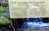 La sorgente Caselle perenne fonte di acqua potabile · 2016. 7. 13. · LE SORGENTI CASELLE Non deve perciò sorprendere se le sorgenti del conglomerato, hanno attirato - si può