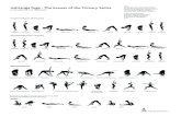 Om Ashtanga Yoga - The Asanas of the Primary Series · This chart is dedicated to my teachers Manju P. Jois and Nancy Gilgoff with greatfullness for their ongoing teaching and support.