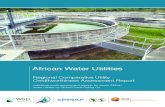 Regional Comparative Utility Creditworthiness …...2 Global Credit Rating Co. Africa Water Utility Regional Comparative Utility Creditworthiness Assessment Report December 2008 GCR